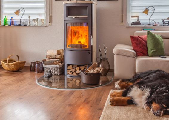 Wohnzimmer in Hannover, brennender Kamin, schlafender Hund daneben